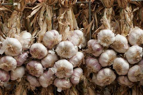 Jobs in Mystic Farm Garlic - reviews